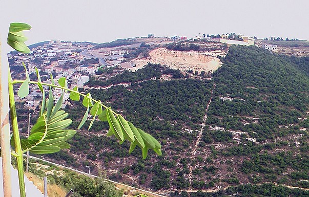ארמון מלך האירוח - ������ �בית גאן - ������ ����